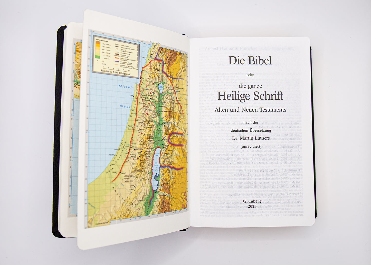 A&O Taschenbibel Standardausgabe mit Kunstleder & Goldschnitt