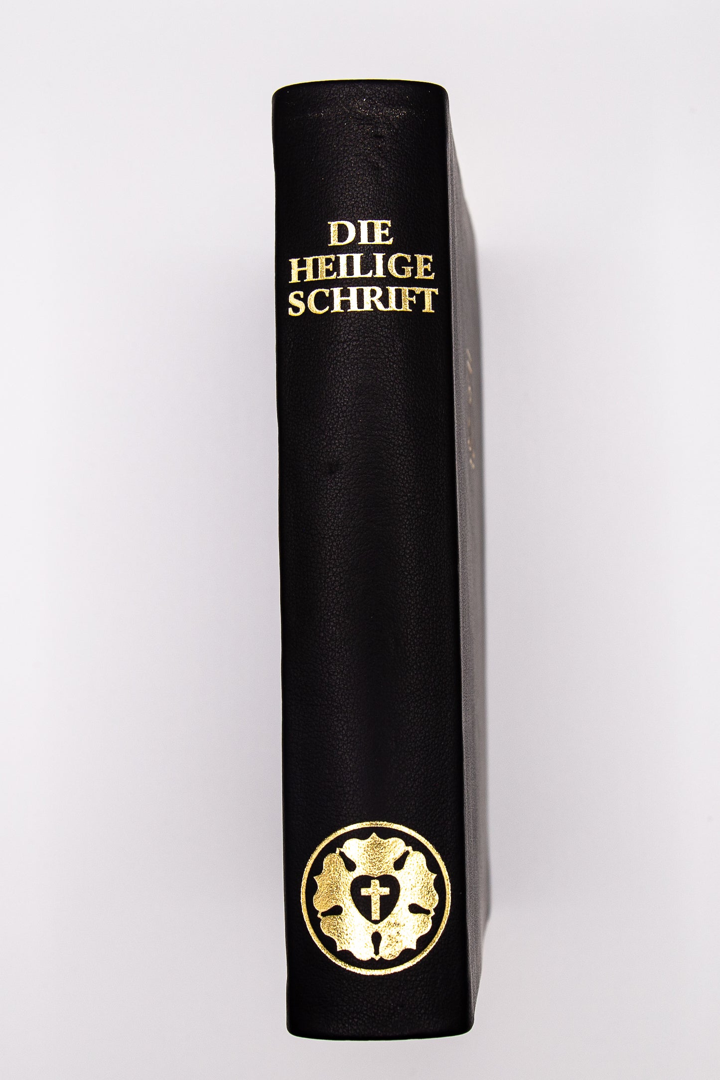 A&O Taschenbibel Goldschnitt & flexiblem Deckel