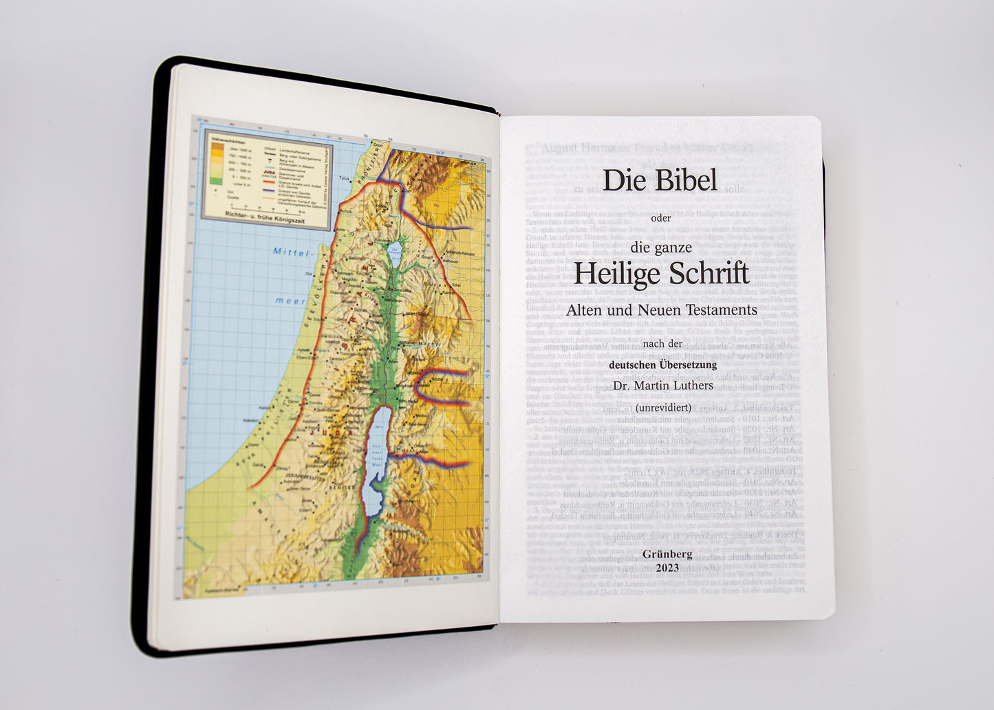 A&O Taschenbibel Goldschnitt & flexiblem Deckel